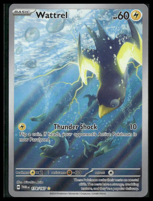 Wattrel #178/167 Twilight Masquerade NM