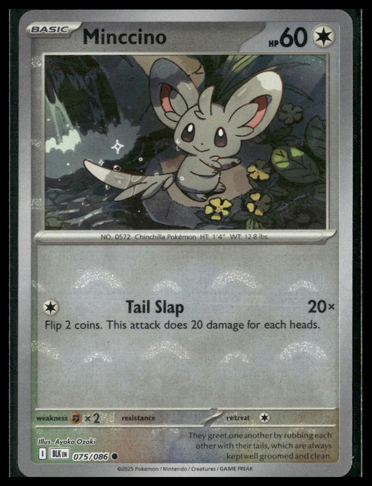 Minccino (Poke Ball) #075/086 Black Bolt LP