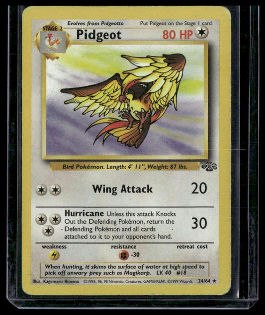 Pidgeot #24/64 Jungle MP/HP
