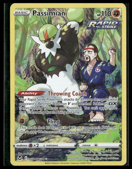 Passimian #TG08/TG30 Silver Tempest Trainer Gallery NM