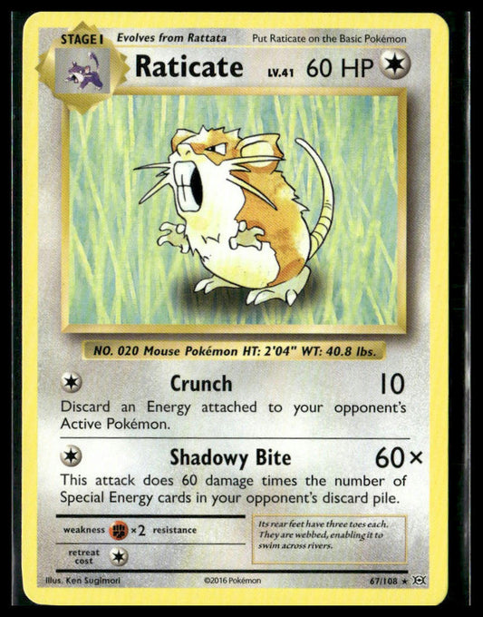 Raticate #67/108 XY - Evolutions VLP