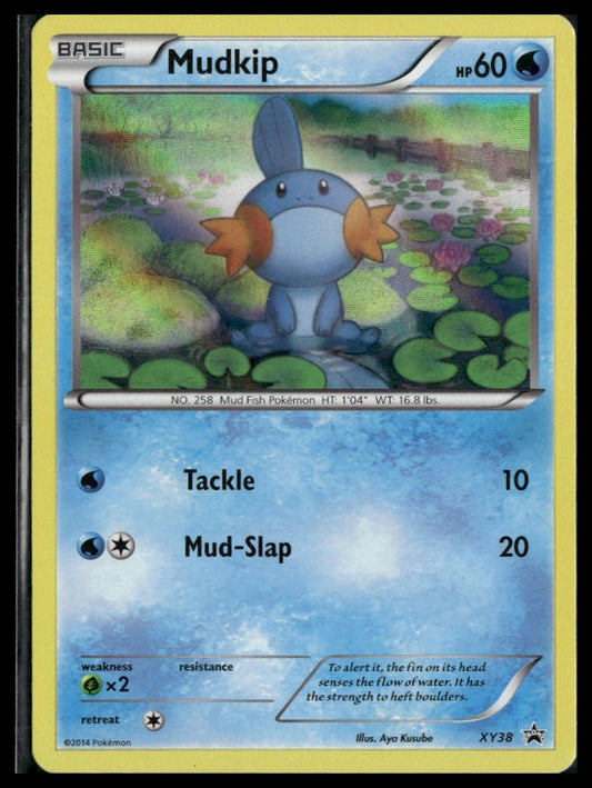 Mudkip #XY38 XY Promos LP