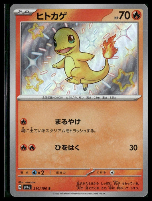 Charmander #210/190 Shiny Treasure ex NM