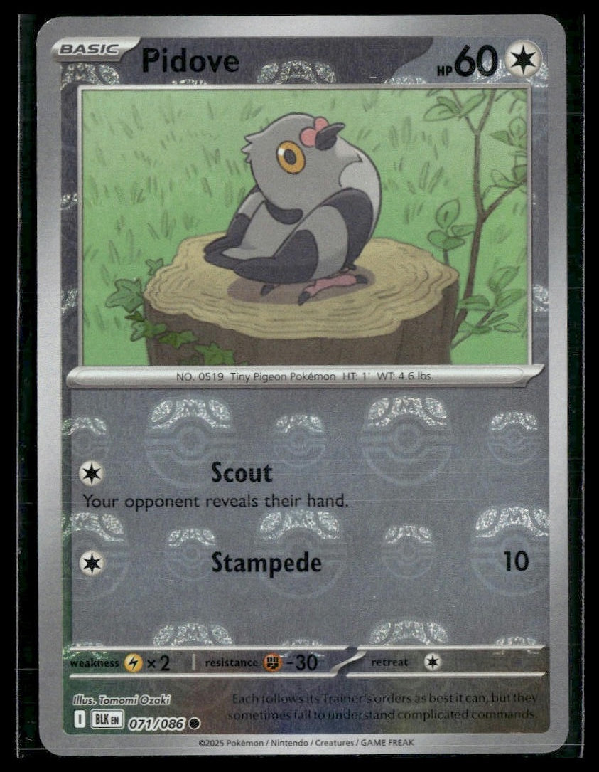 Pidove (Master Ball) #071/086 Black Bolt NM
