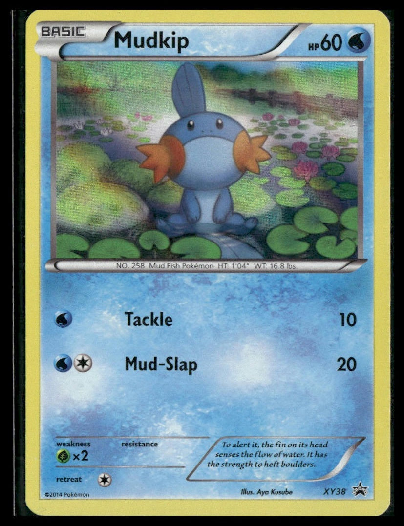 Mudkip #XY38 XY Promos LP