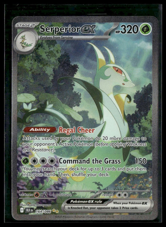 Serperior ex #164/086 Black Bolt NM