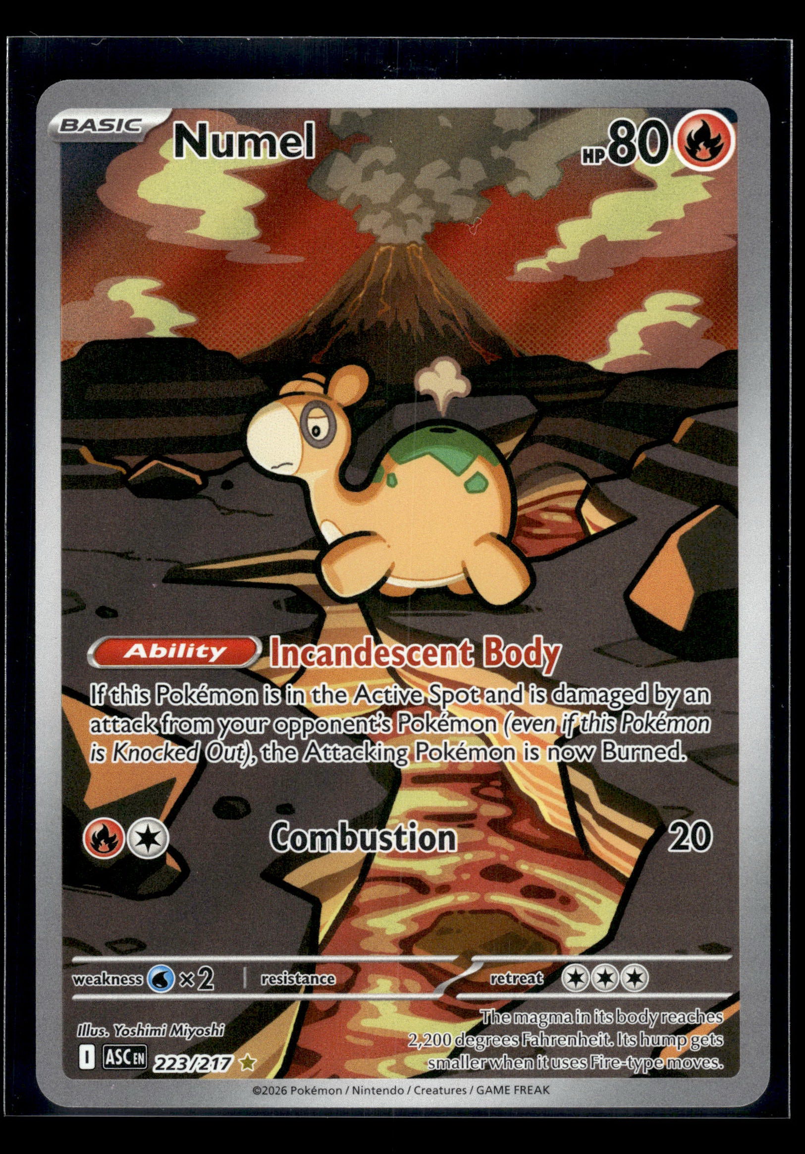 Numel #223/217 Ascended Heroes NM