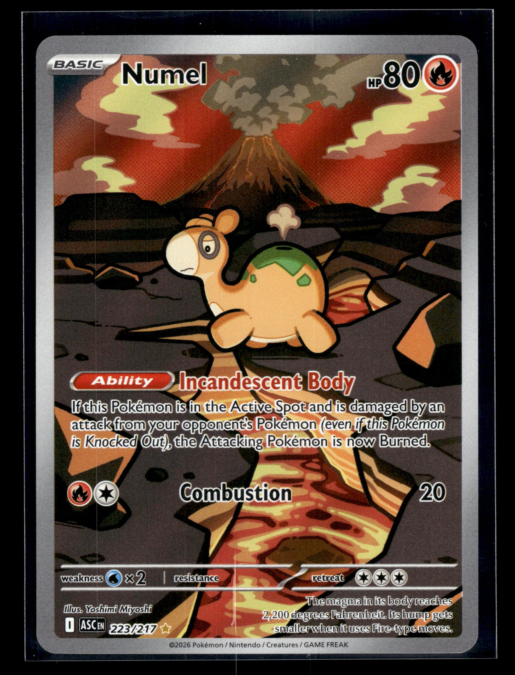 Numel #223/217 Ascended Heroes NM