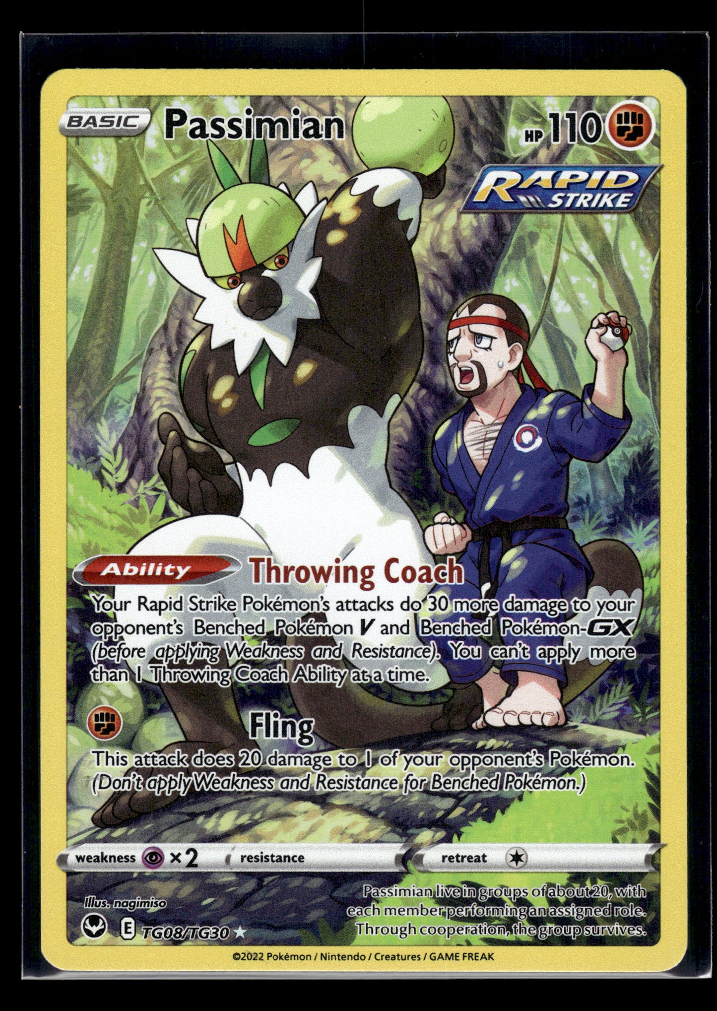 Passimian #TG08/TG30 Silver Tempest Trainer Gallery LP