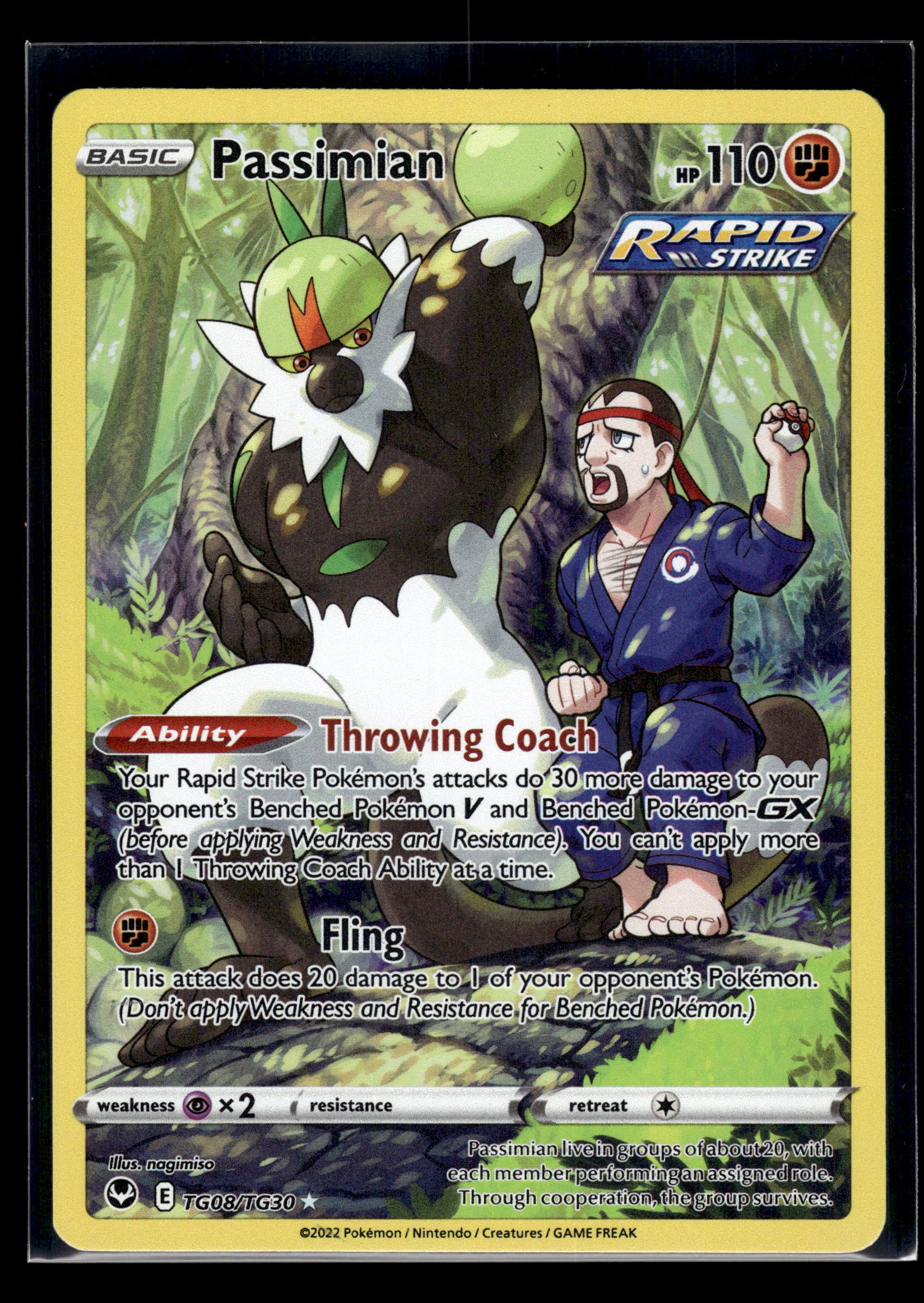 Passimian #TG08/TG30 Silver Tempest Trainer Gallery LP