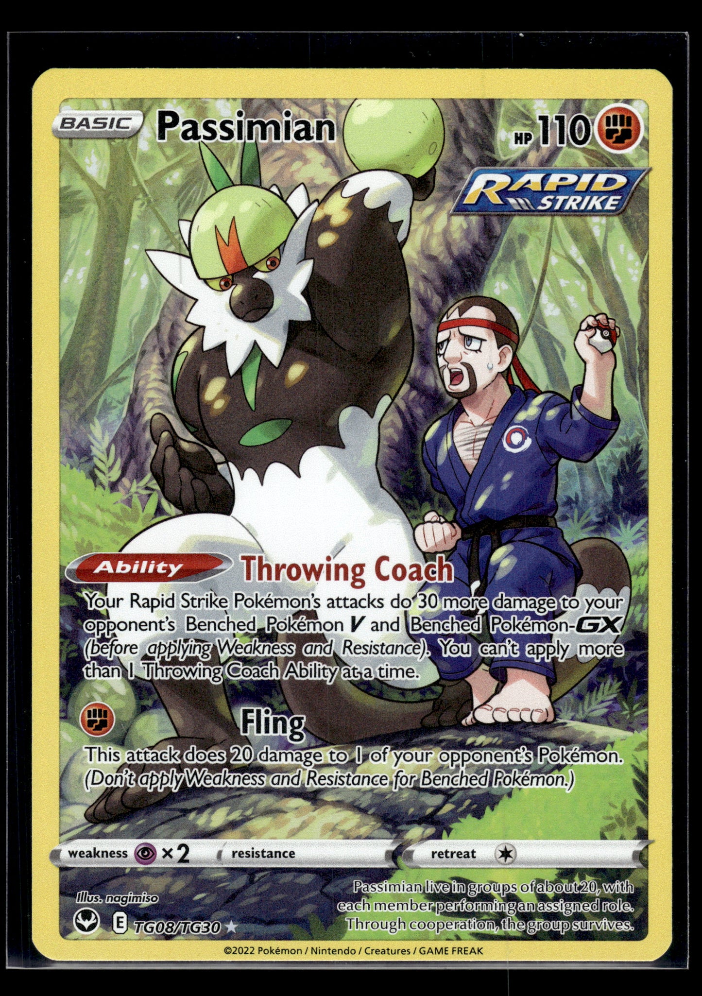 Passimian #TG08/TG30 Silver Tempest Trainer Gallery VLP