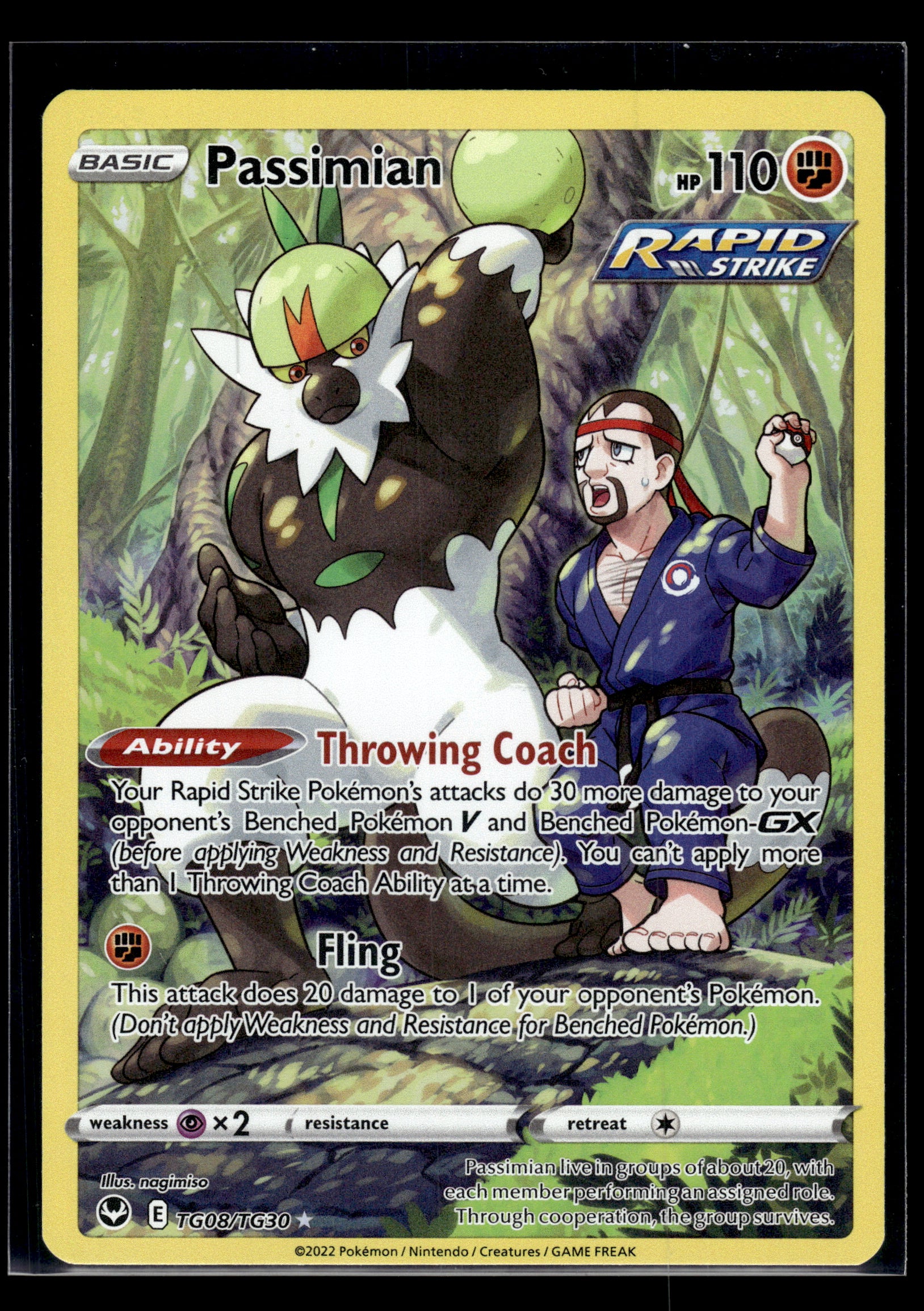 Passimian #TG08/TG30 Silver Tempest Trainer Gallery VLP