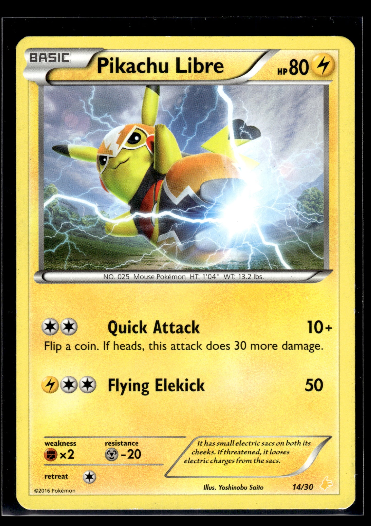 Pikachu Libre #14/30 XY Trainer Kit MP
