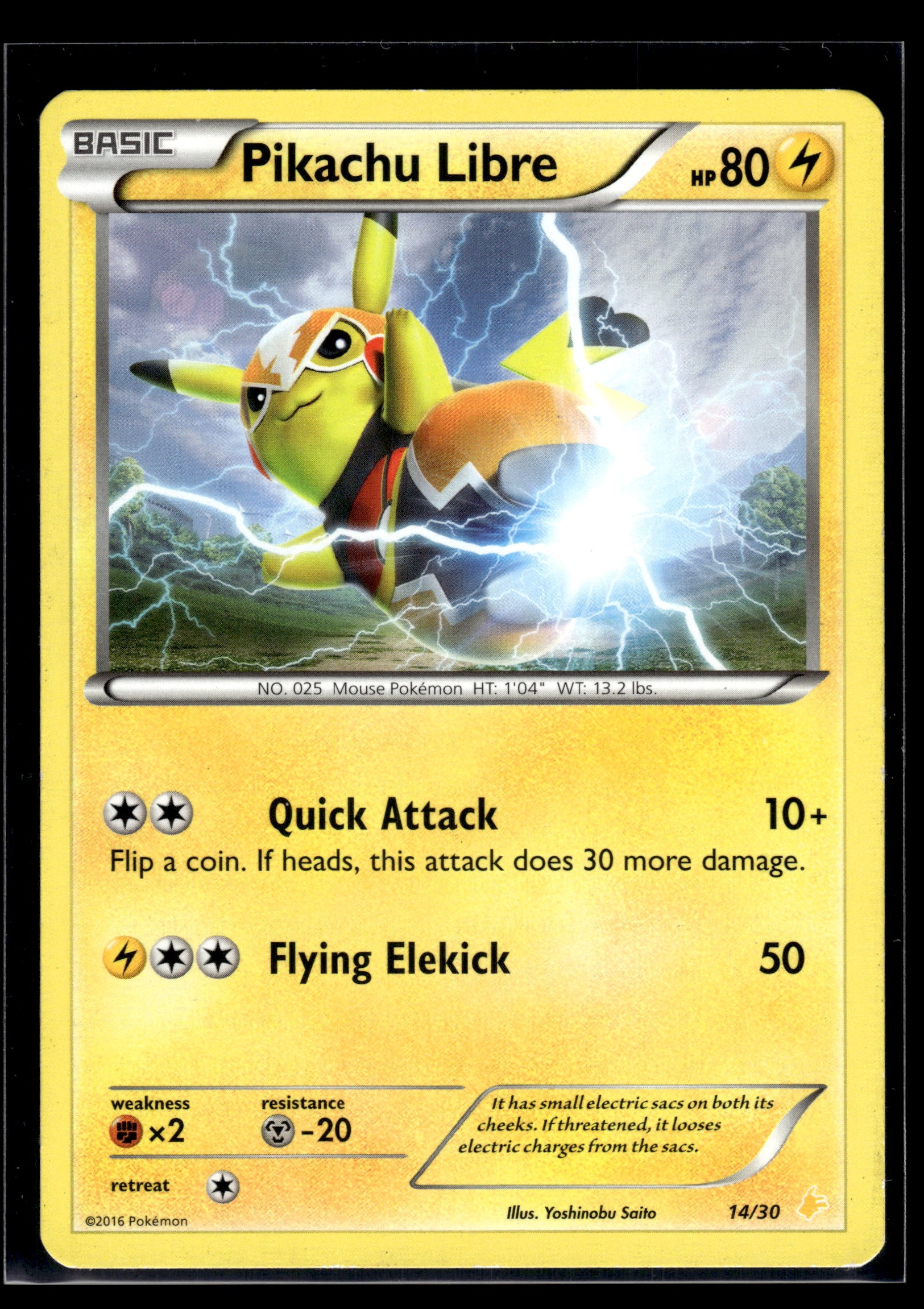 Pikachu Libre #14/30 XY Trainer Kit MP