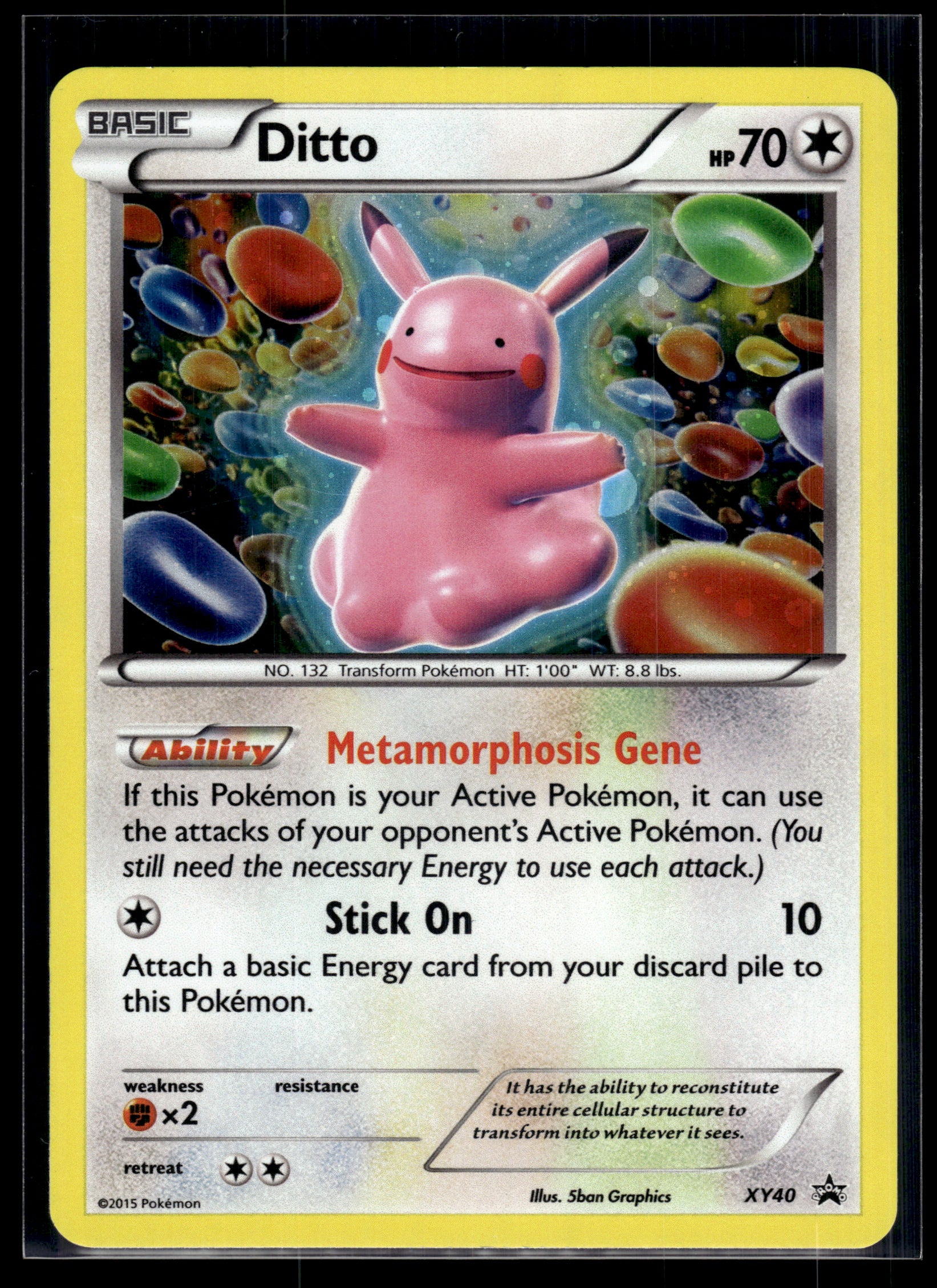 Ditto #XY40 XY Promos LP