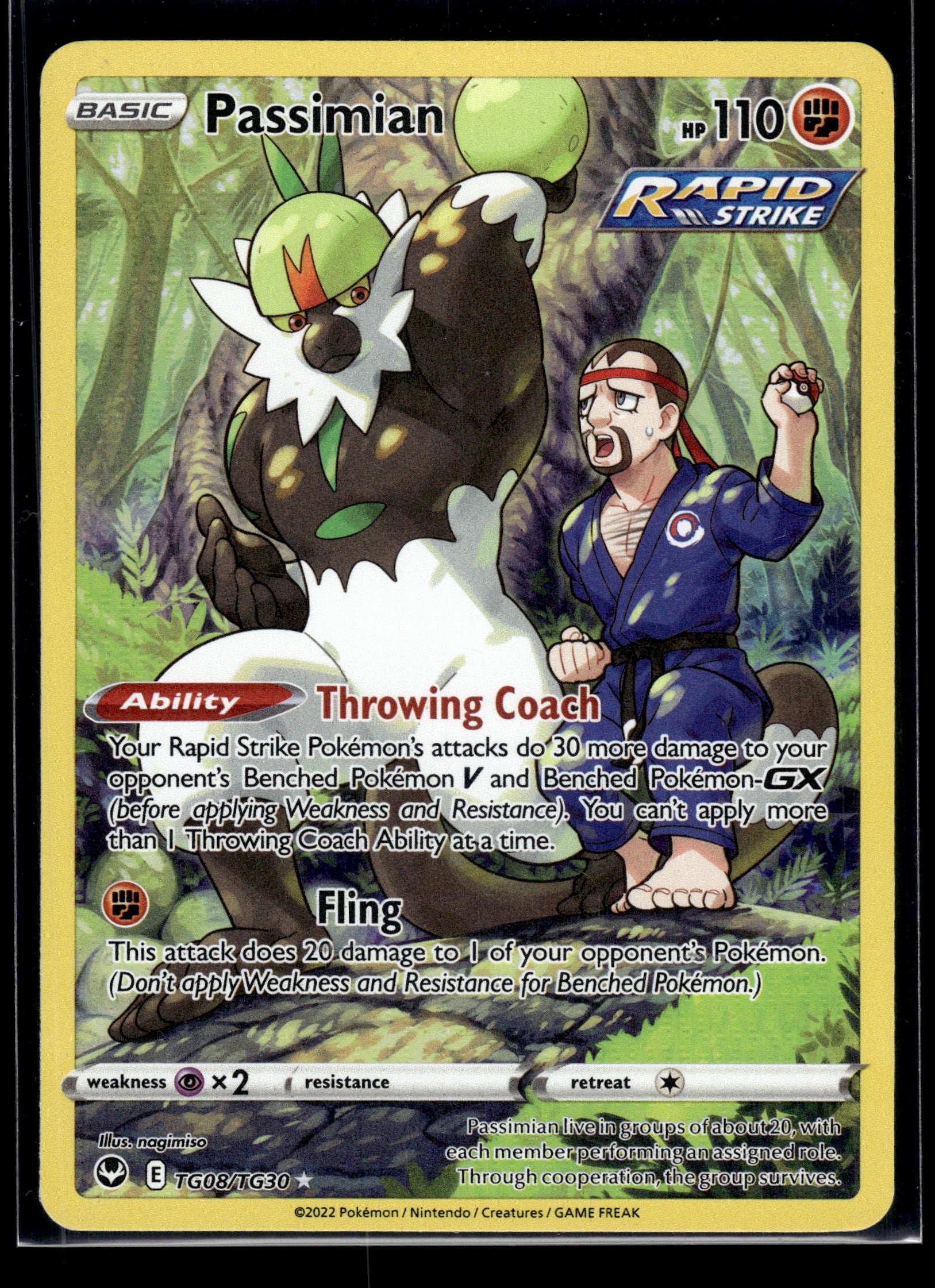 Passimian #TG08/TG30 Silver Tempest Trainer Gallery LP