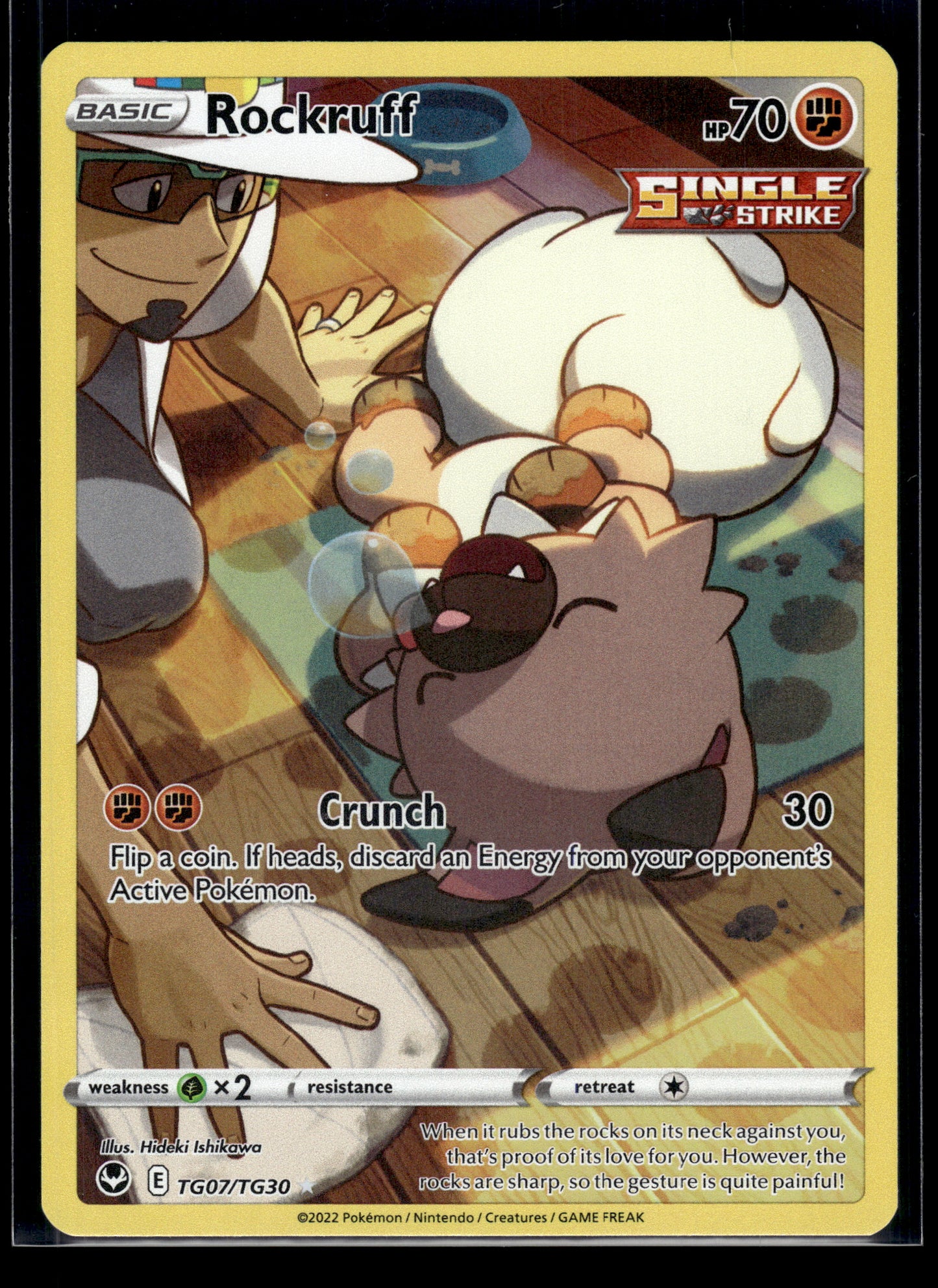 Rockruff #TG07/TG30 Silver Tempest Trainer Gallery VLP