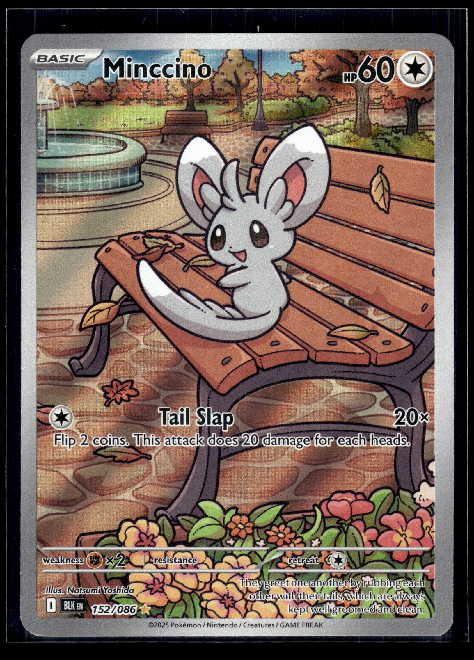Minccino #152/086 Black Bolt VLP