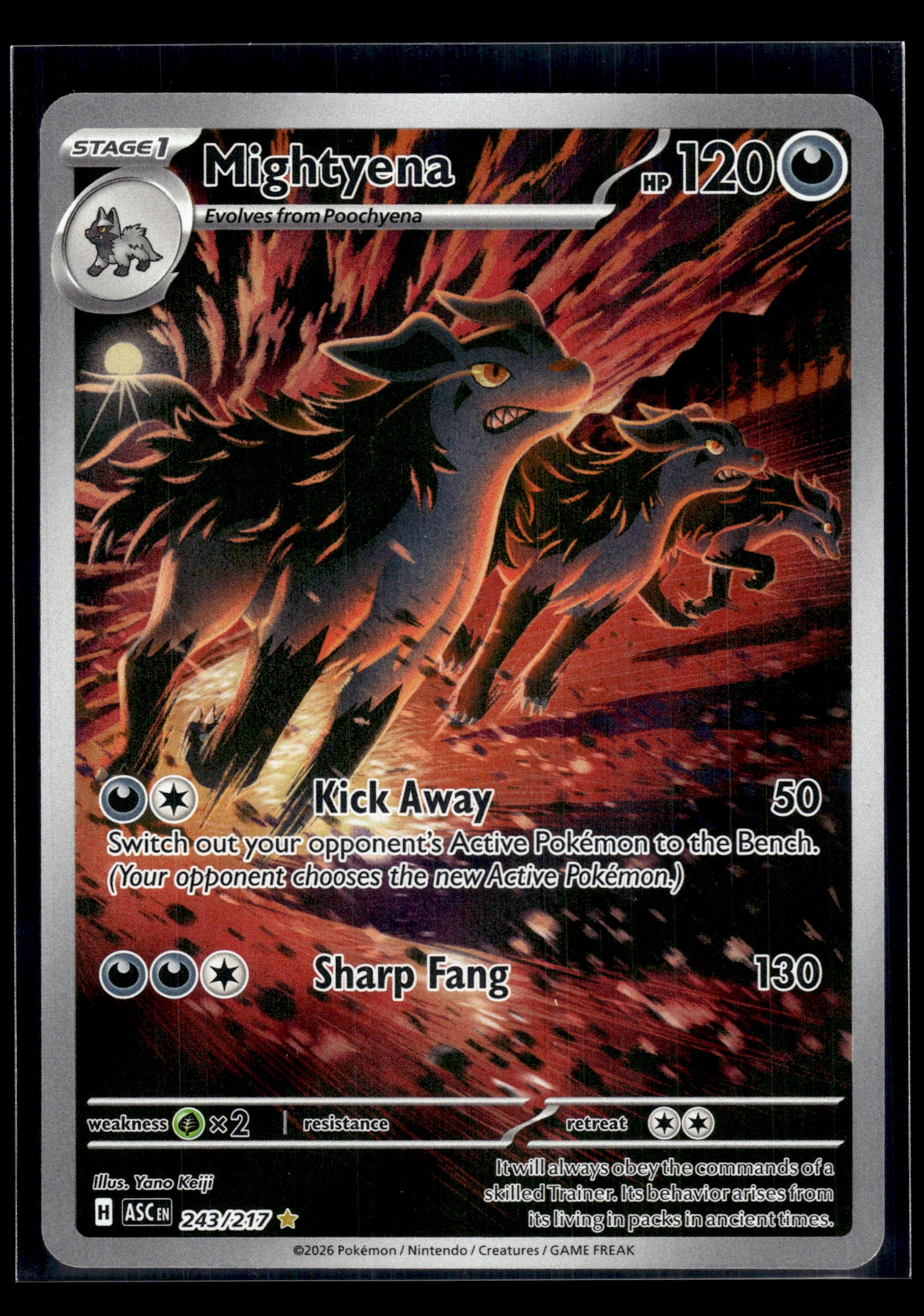 Mightyena #243/217 Ascended Heroes NM