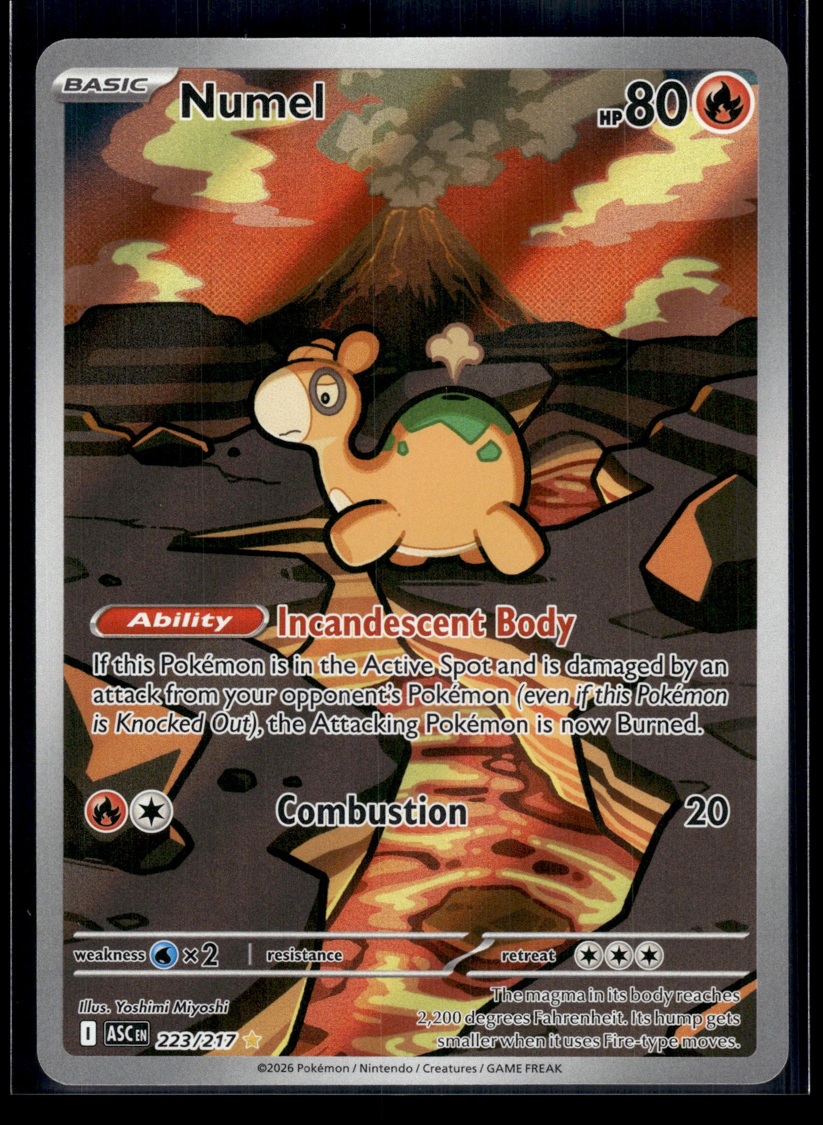 Numel #223/217 Ascended Heroes NM