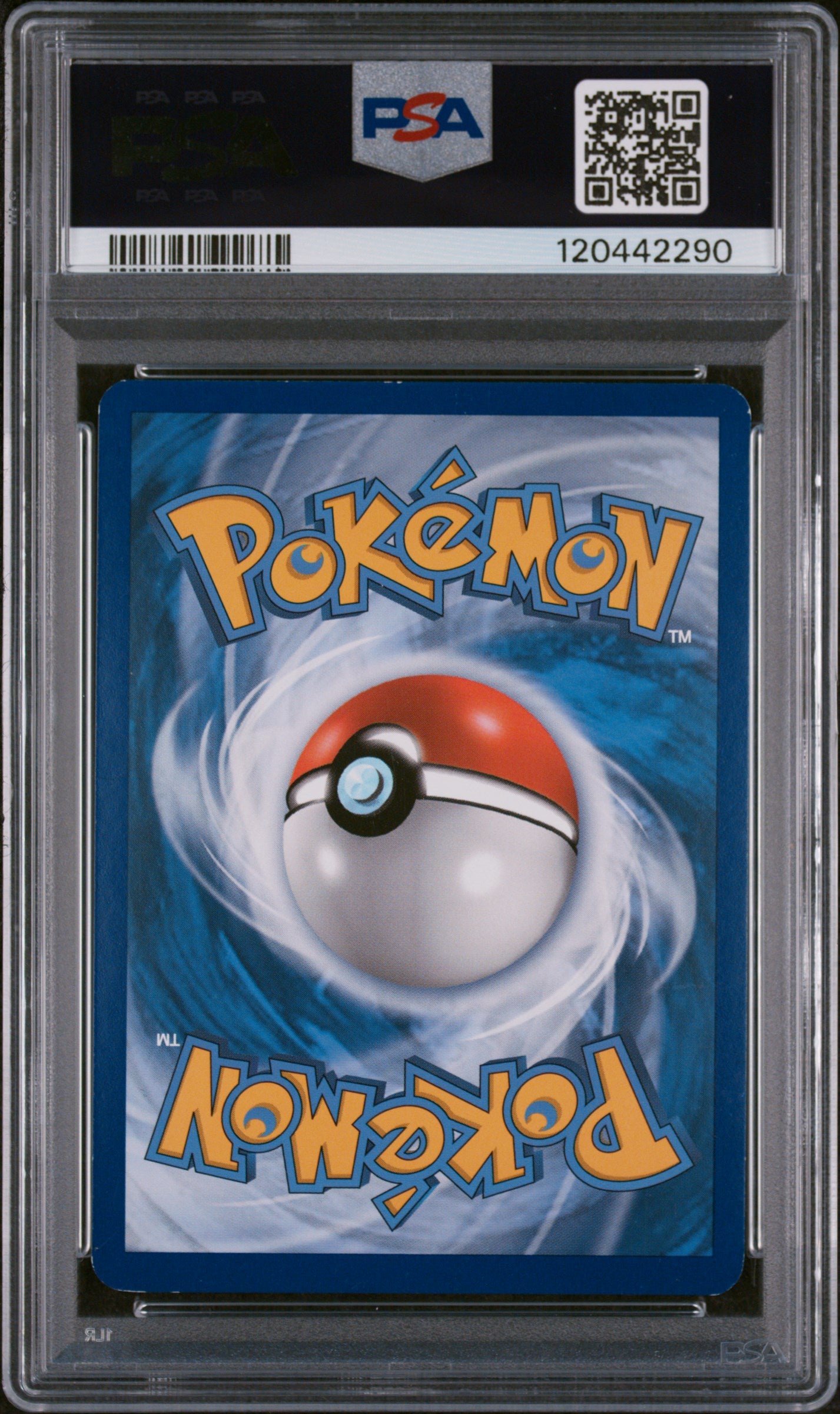 PSA 6 M Gengar Ex #XY166 Black Star Promo