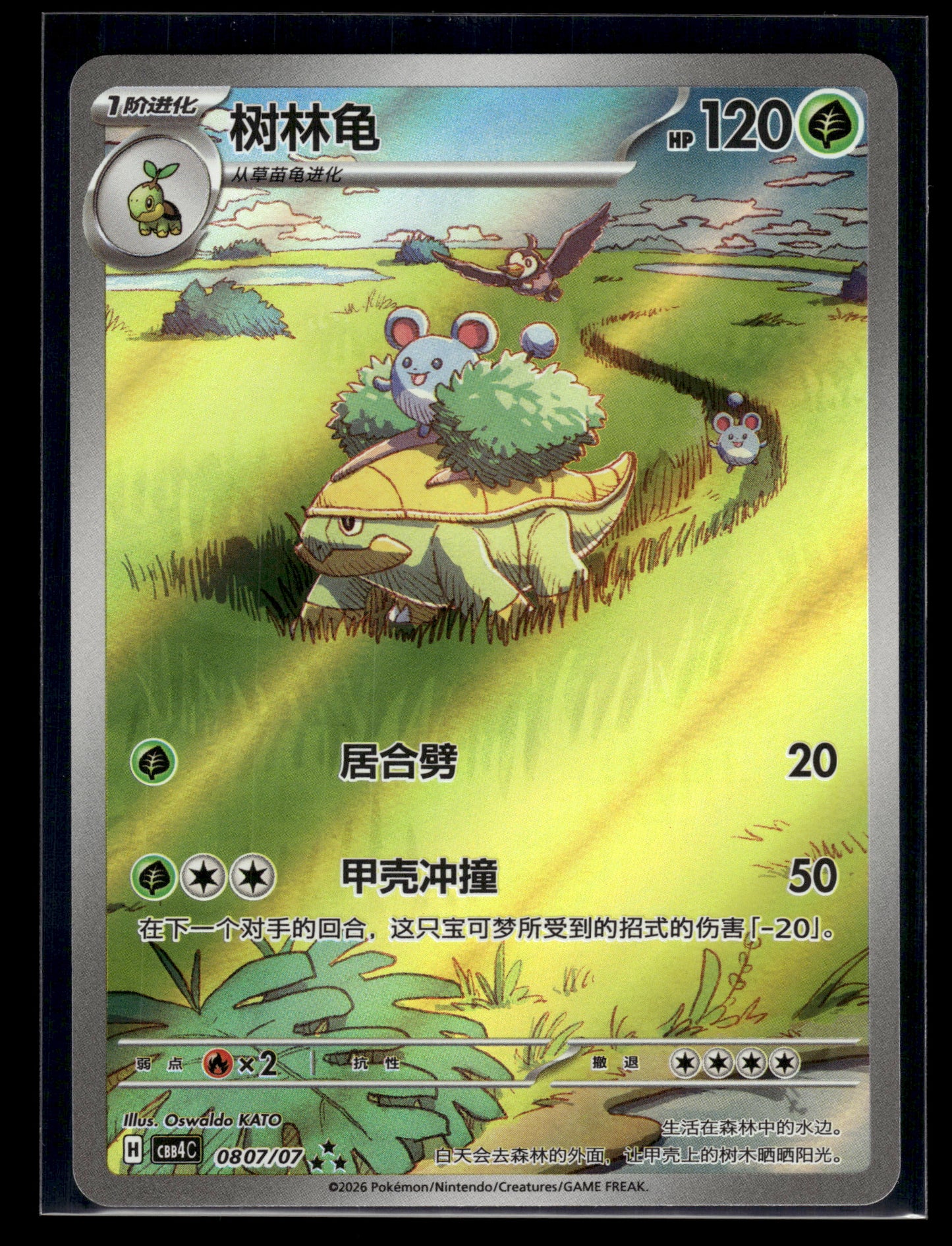 Grotle #0807/07 Chinese Gem Pack 4 NM