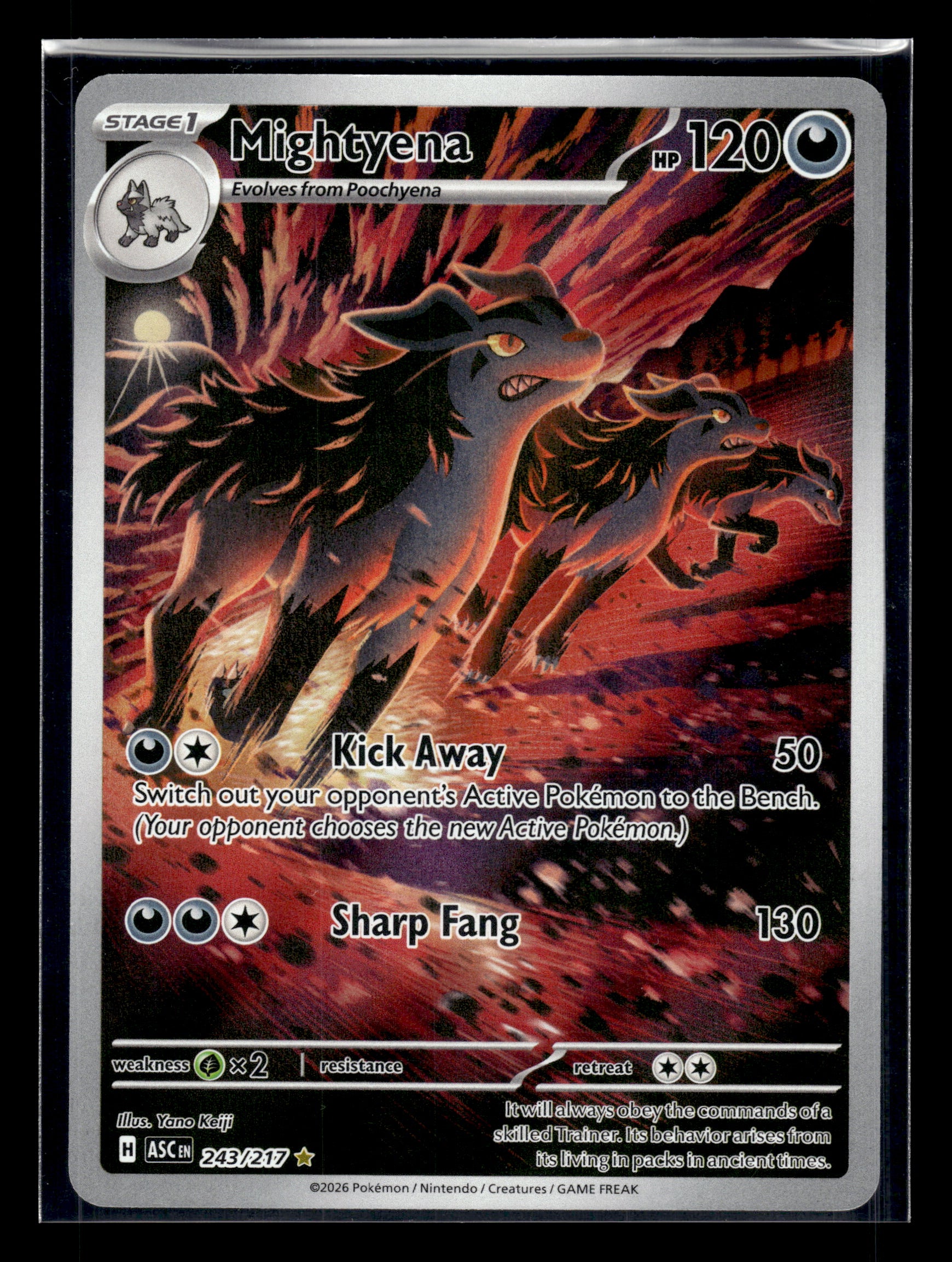 Mightyena #243/217 Ascended Heroes NM