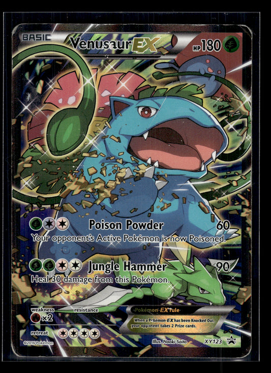 Venusaur EX #XY123 XY Promo HP