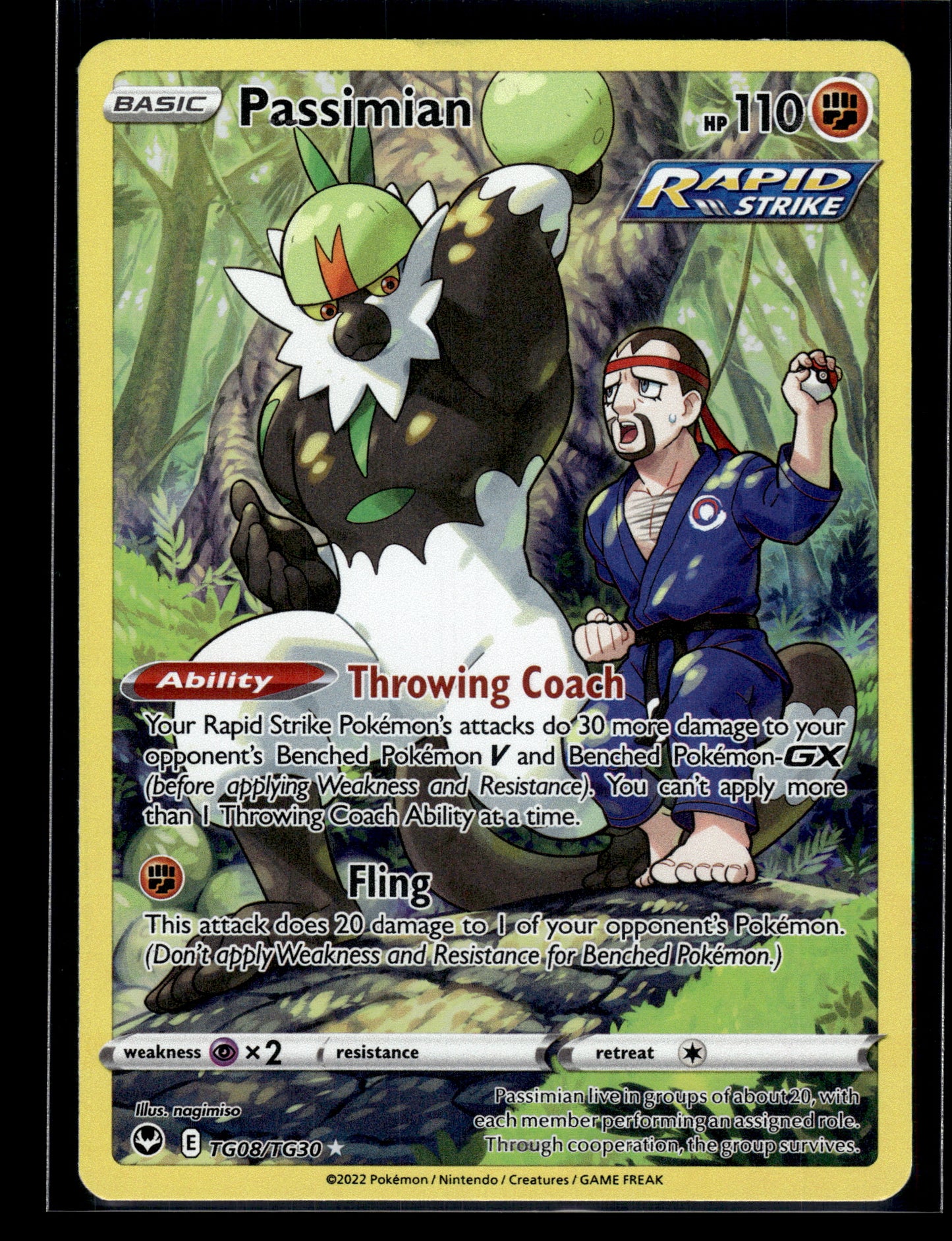 Passimian #TG08/TG30 Silver Tempest Trainer Gallery LP
