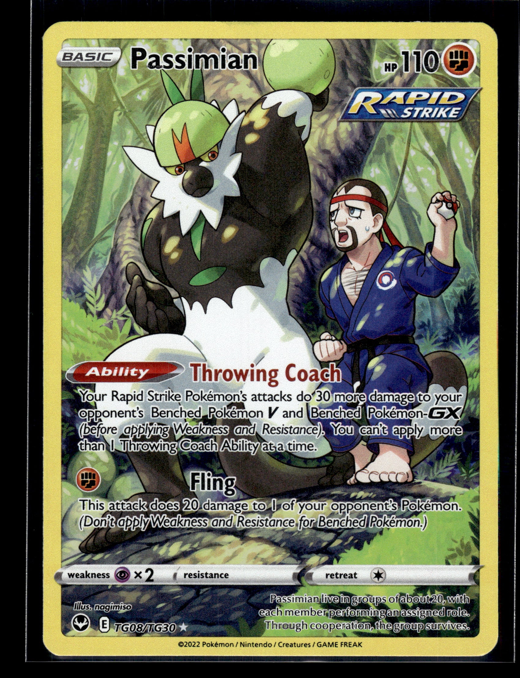 Passimian #TG08/TG30 Silver Tempest Trainer Gallery LP