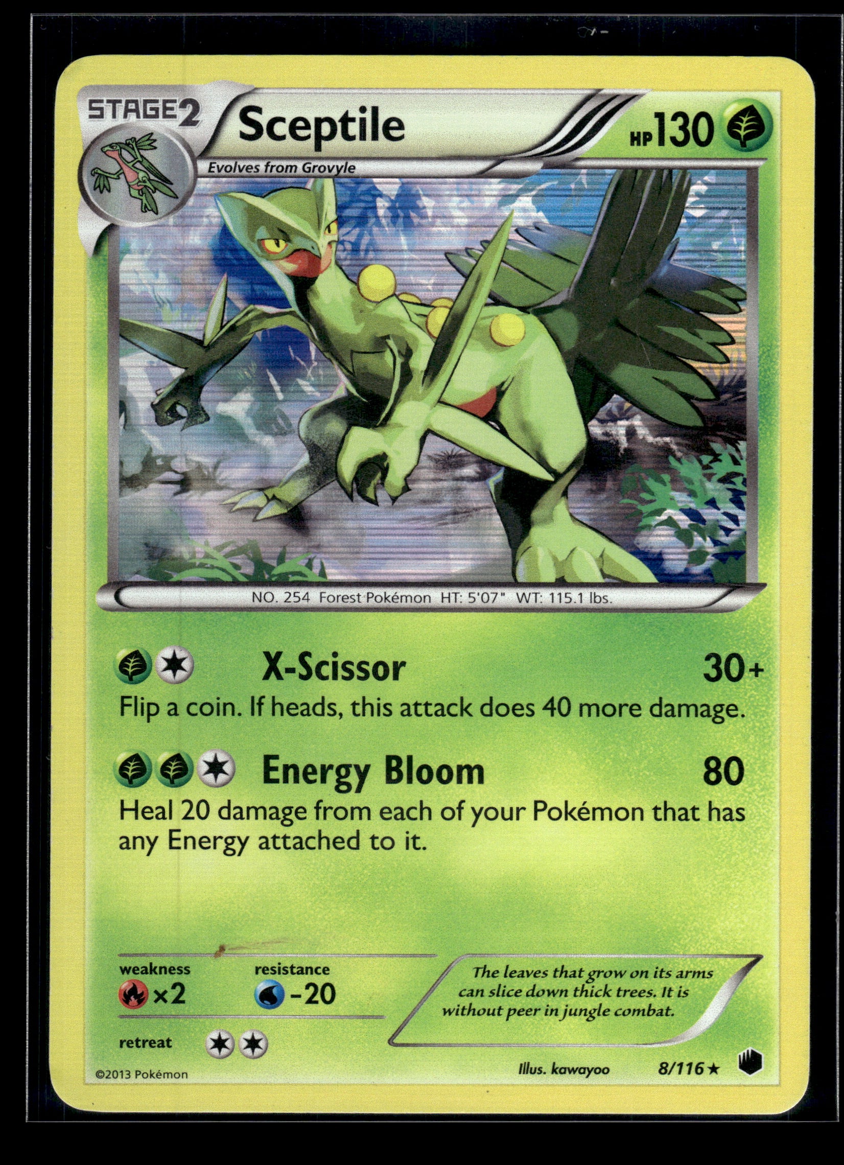Sceptile #8/116 Plasma Freeze MP