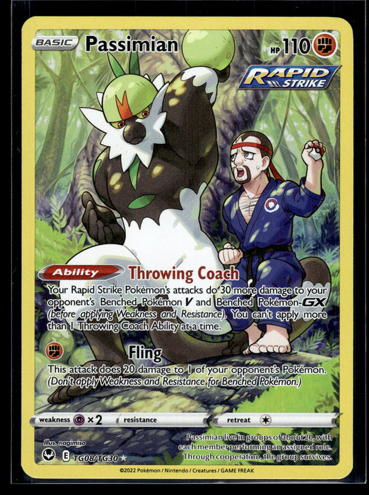 Passimian #TG08/TG30 Silver Tempest Trainer Gallery LP