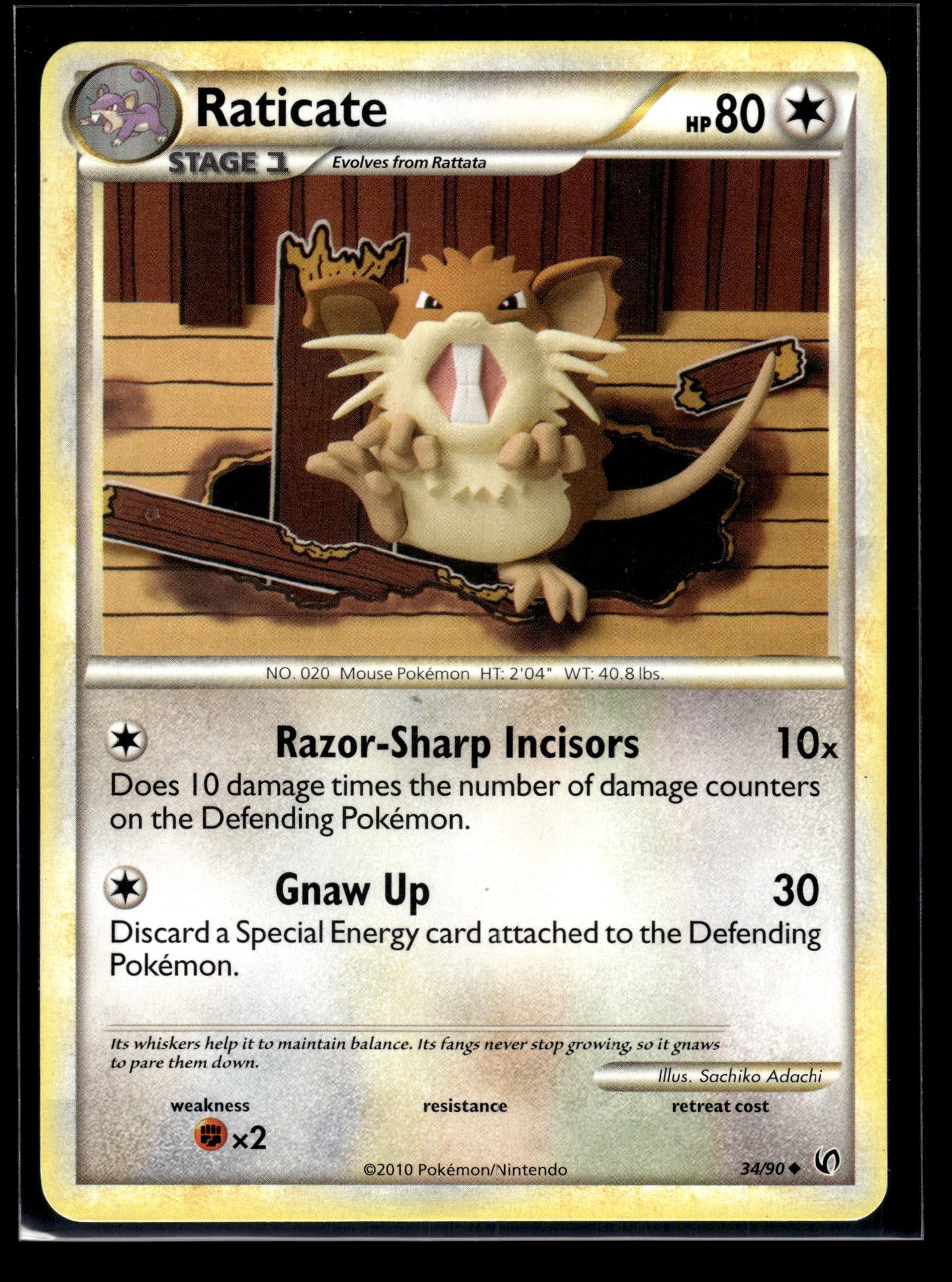 Raticate #34/90 Undaunted MP