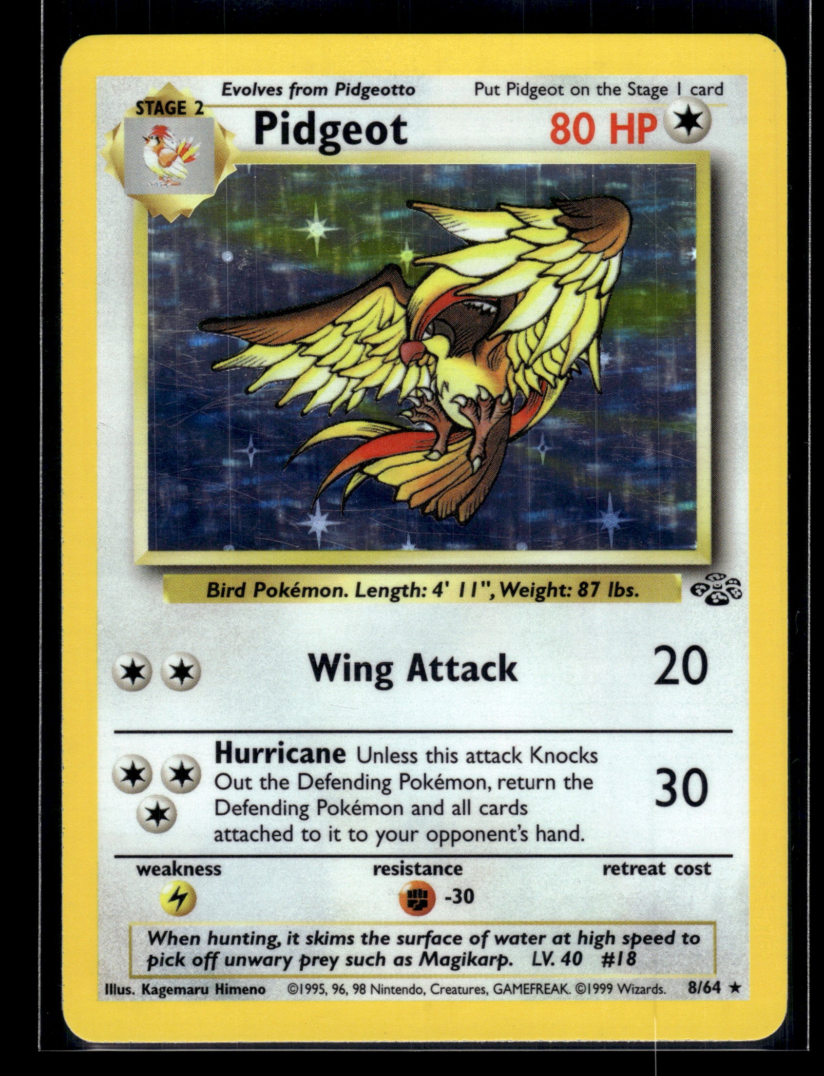 Pidgeot #08/64 Jungle LP