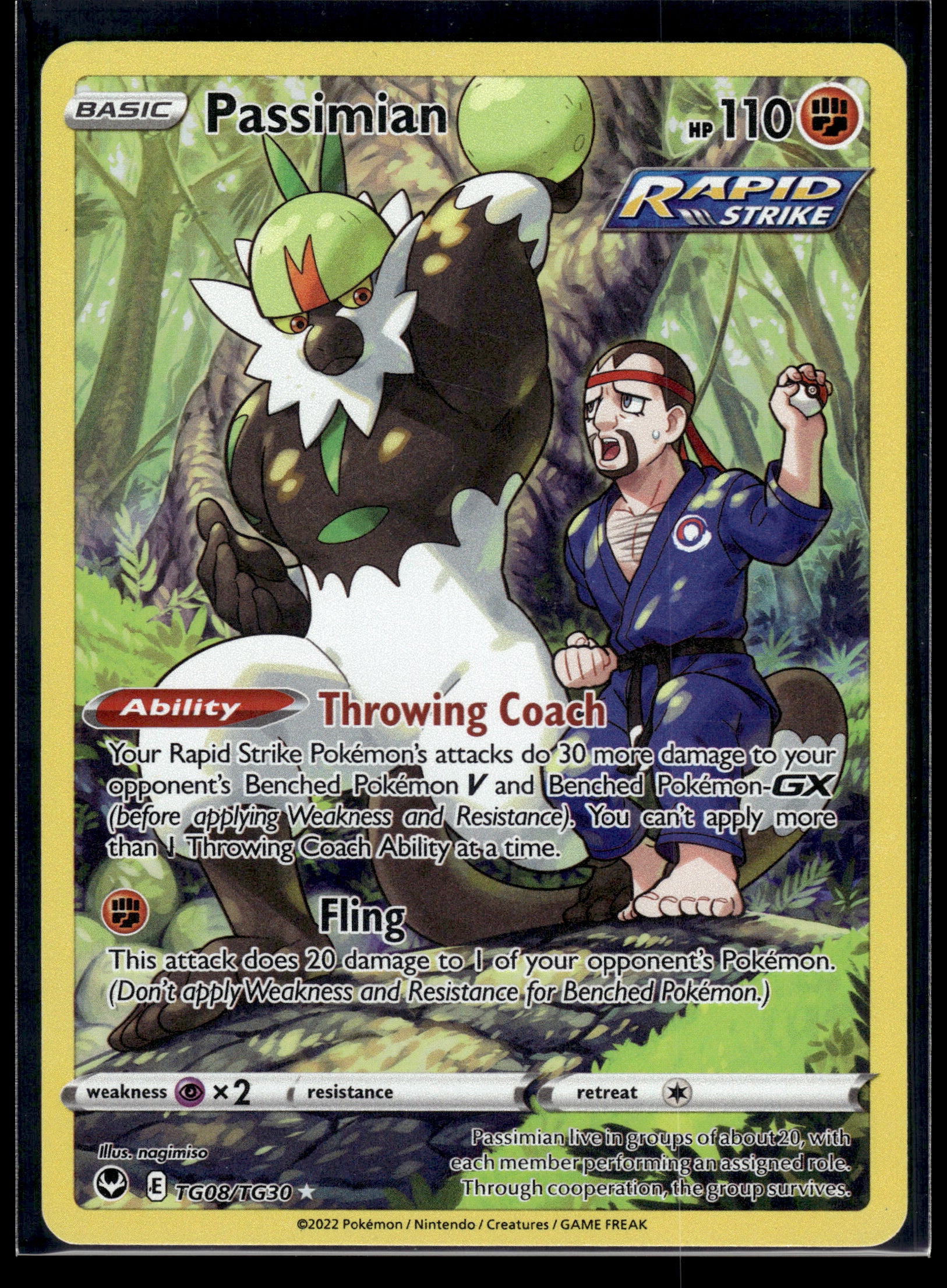 Passimian #TG08/TG30 Silver Tempest Trainer Gallery LP