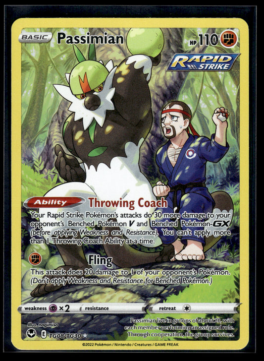 Passimian #TG08/TG30 Silver Tempest Trainer Gallery VLP