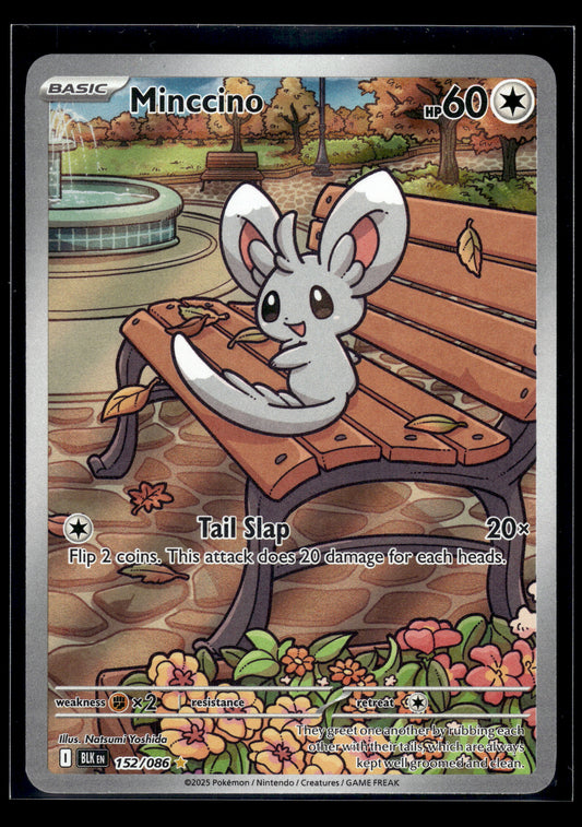 Minccino #152/086 Black Bolt VLP