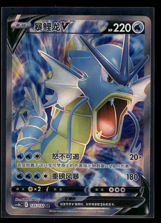 Gyarados V #135/132 CHINESE CS4vbC NM