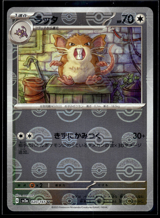 Raticate (Poke Ball) #020/165 Japanese 151 VLP