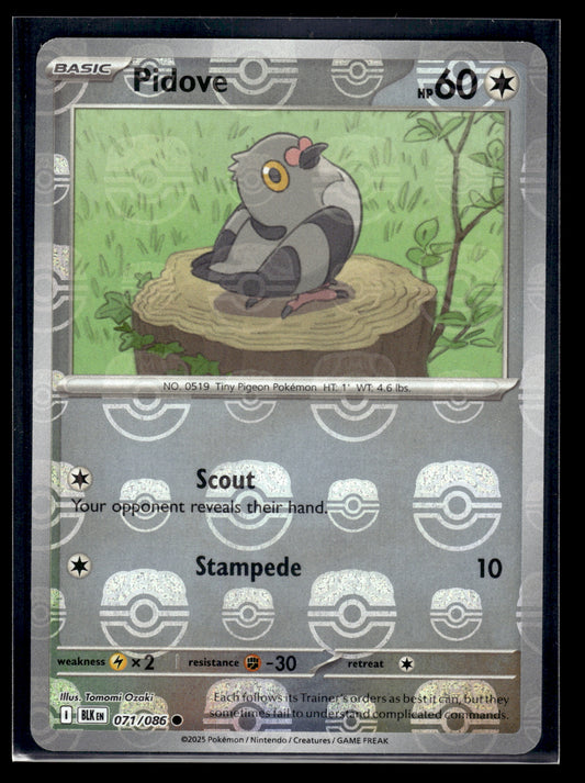 Pidove (Master Ball Pattern) #071/086 Black Bolt NM