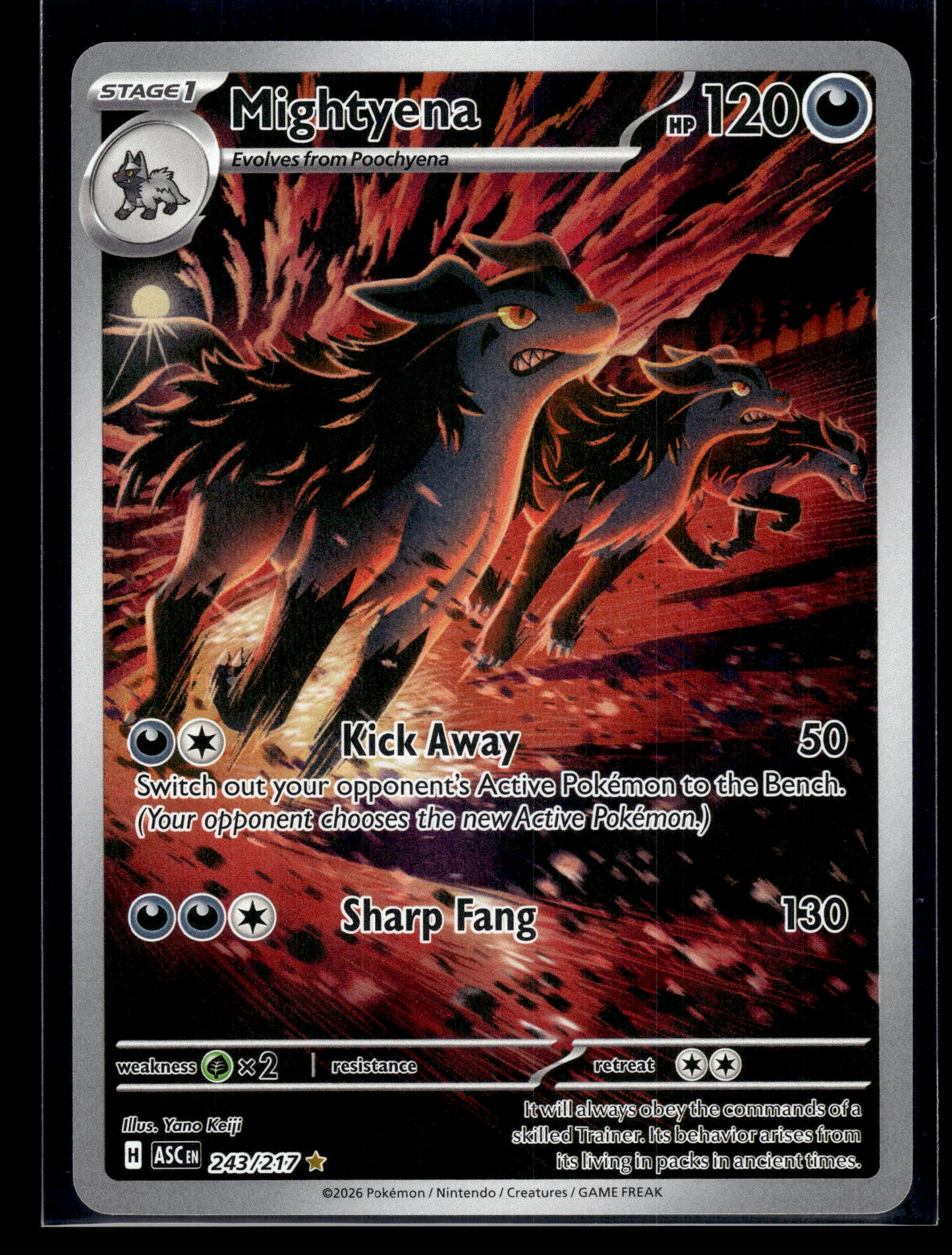 Mightyena #243/217 Ascended Heroes NM
