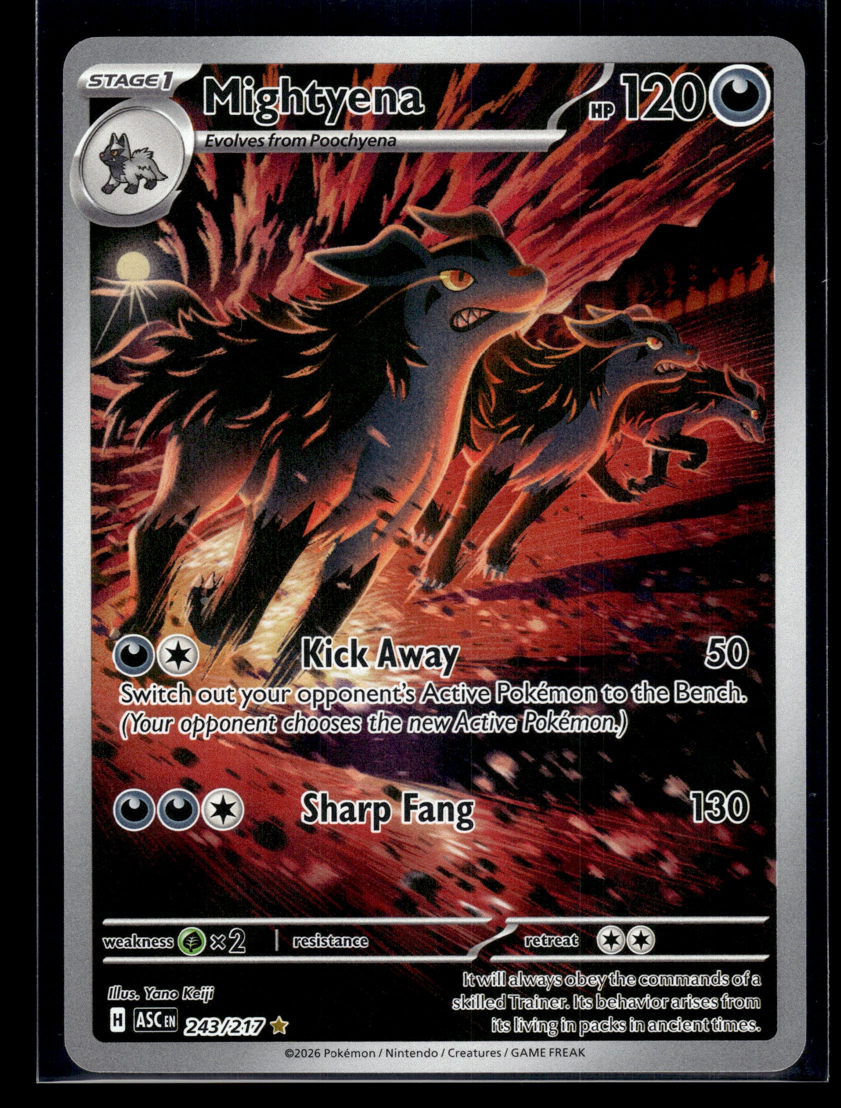 Mightyena #243/217 Ascended Heroes NM