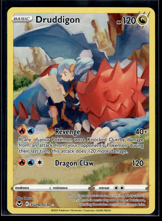 Druddigon #TG09/TG30 Silver Tempest Trainer Gallery LP
