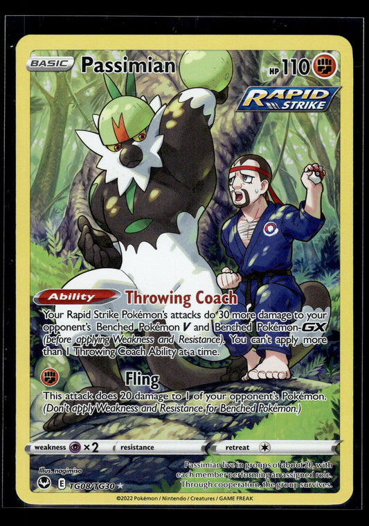 Passimian #TG08/TG30 Silver Tempest Trainer Gallery LP