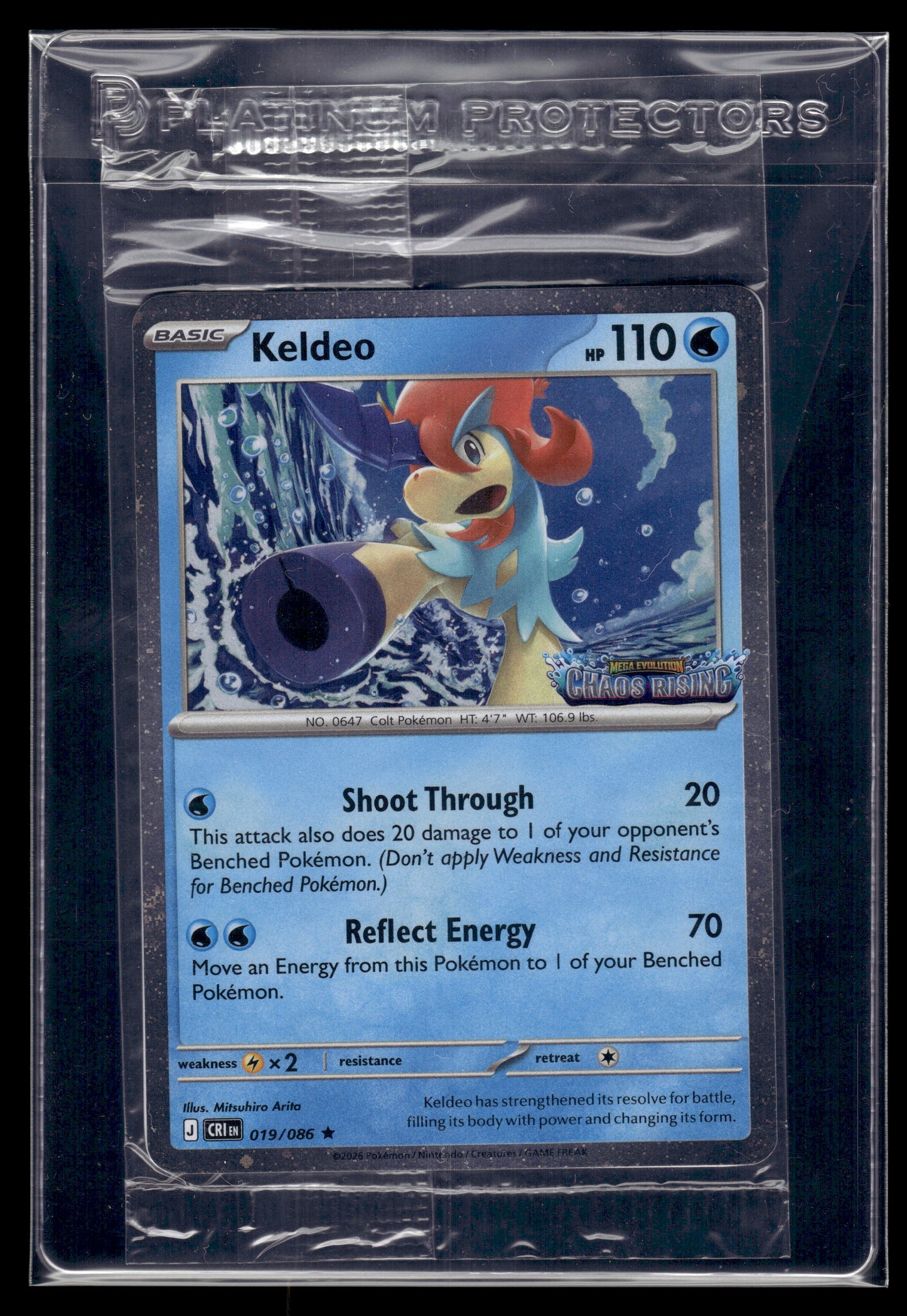Keldeo #019/086 SEALED STAMPED Chaos Rising NM