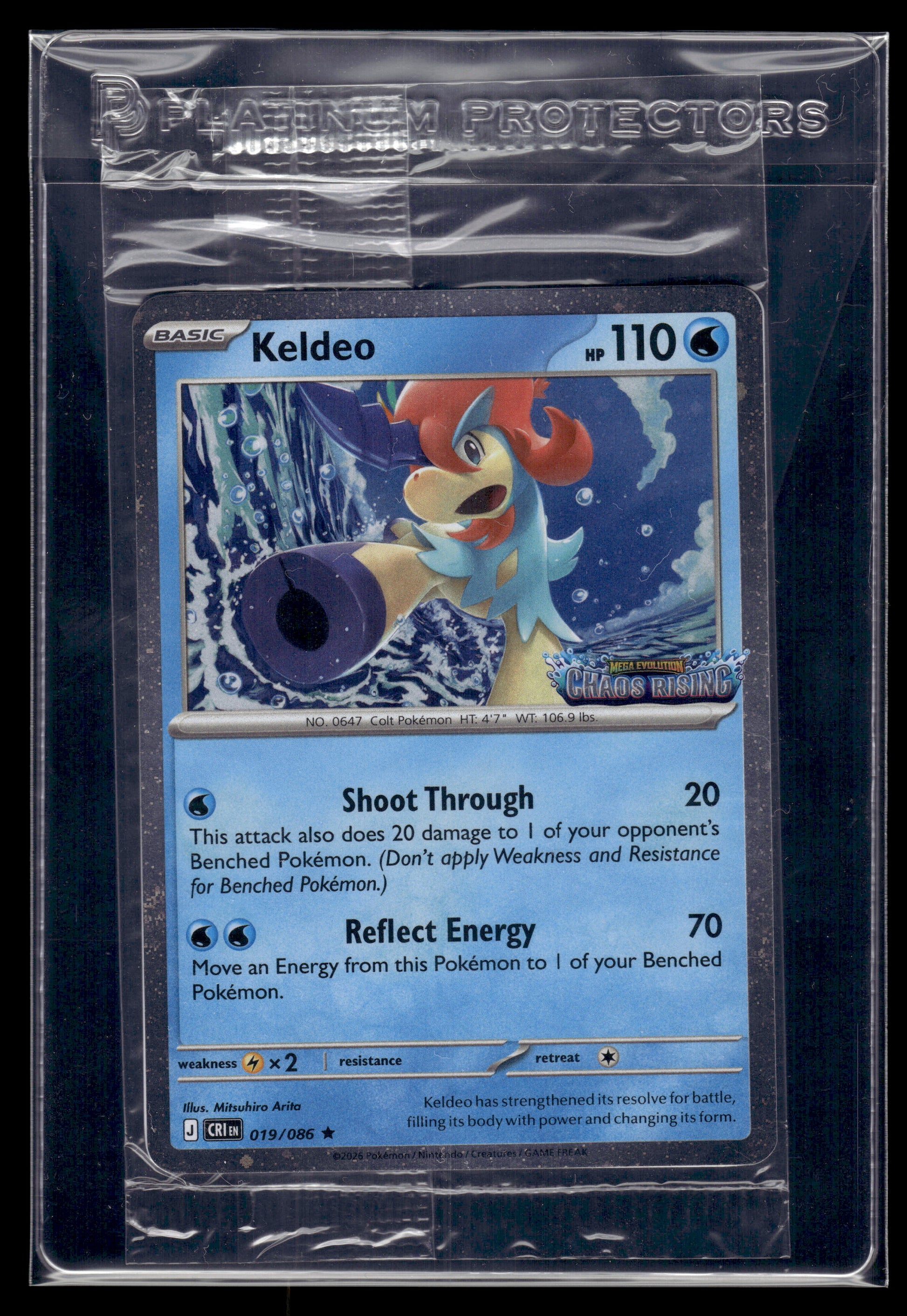 Keldeo #019/086 SEALED STAMPED Chaos Rising NM