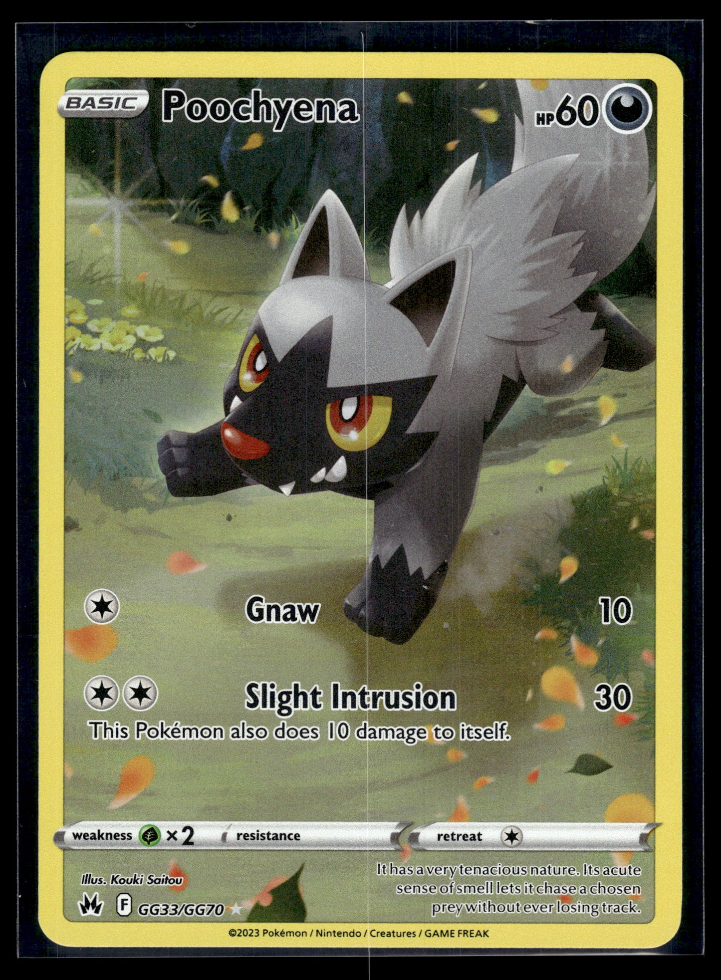 Poochyena #GG33/GG70 Crown Zenith: Galarian Gallery LP