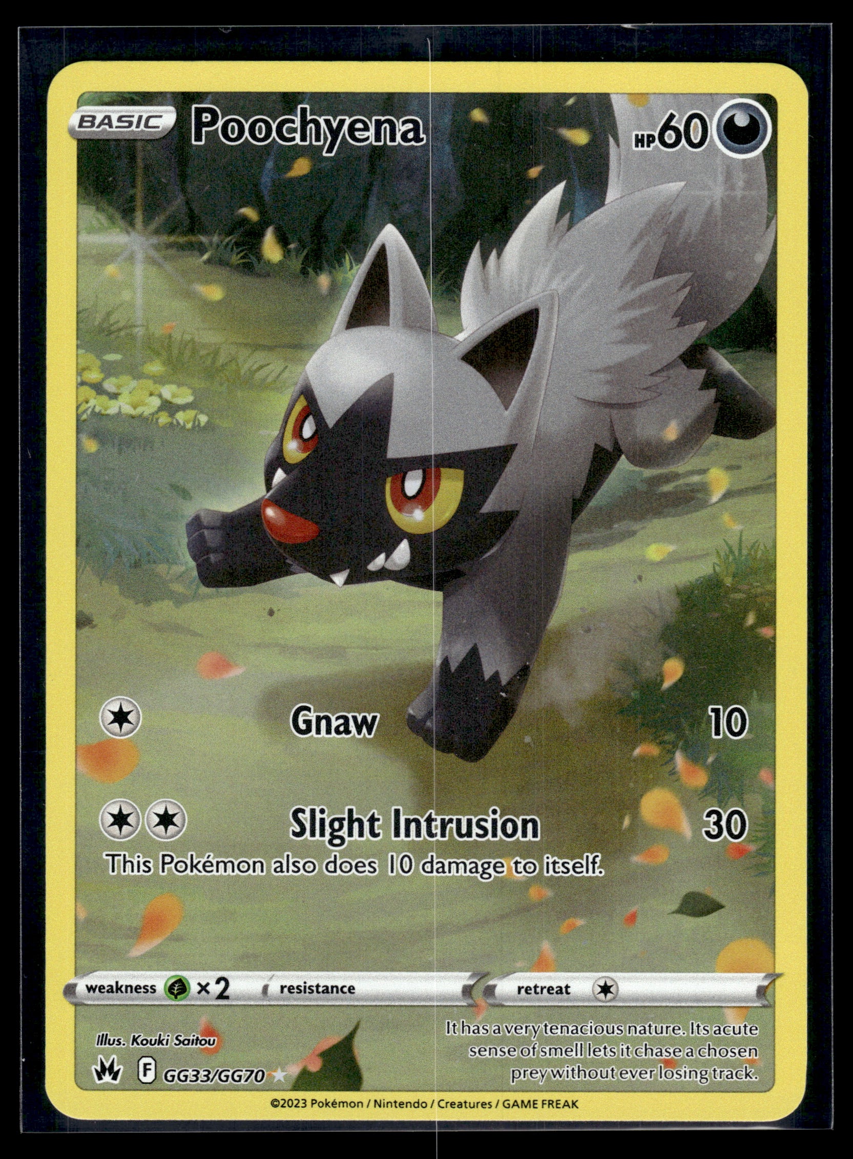 Poochyena #GG33/GG70 Crown Zenith: Galarian Gallery LP