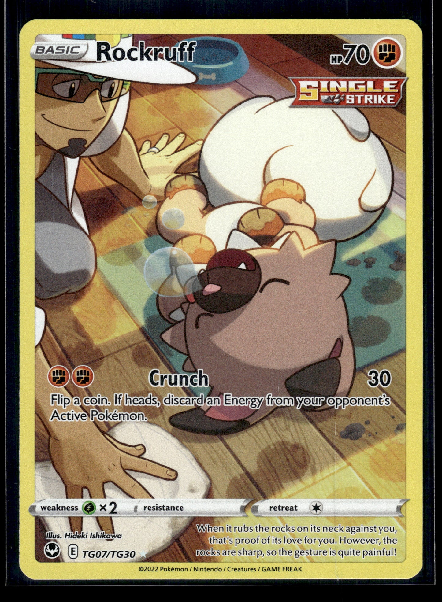 Rockruff #TG07/TG30 Silver Tempest Trainer Gallery VLP