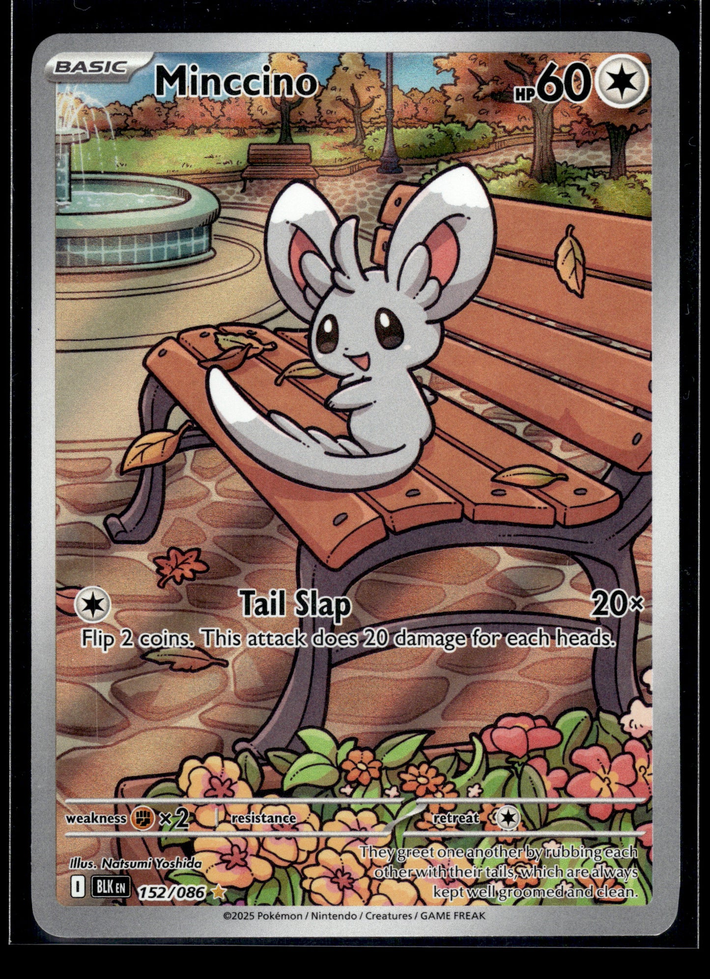 Minccino #152/086 Black Bolt LP